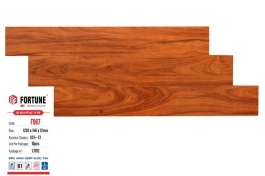 Sàn gỗ Fortune 12mm F967
