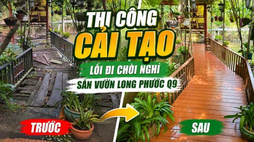 Thi Công Cải Tạo Lối Đi Chòi Nghỉ Sân Vườn Long Phước Q9